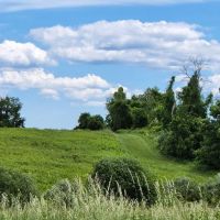 Happy Landings Protected Open Space ico