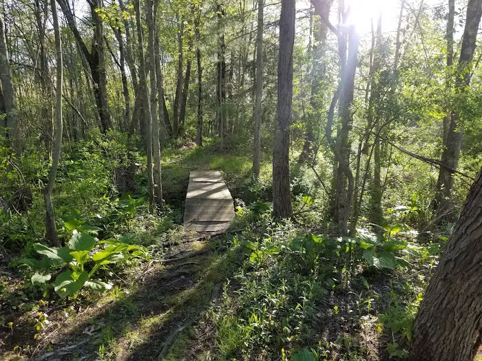 Treadwell Memorial Park Picture 7