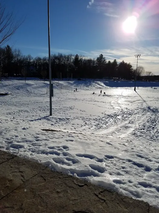 Treadwell Memorial Park Picture 8