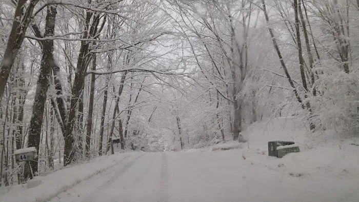 Treadwell Memorial Park Picture 2