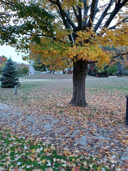 Nob Hill Park Picture 6