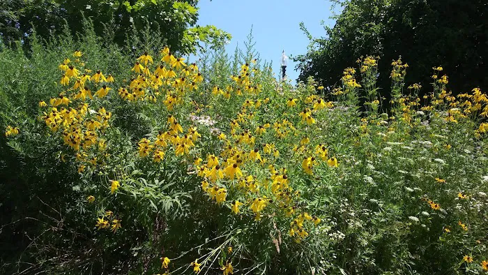 Nob Hill Park Picture 7