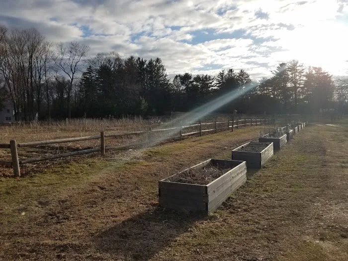 Abraham Nichols Park Picture 6