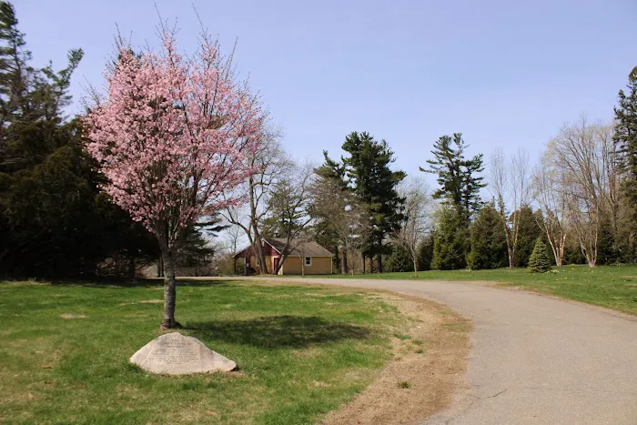 Abraham Nichols Park Picture 3