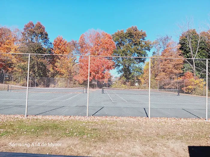 Nothnagle Memorial Park Picture 7