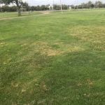Success Park