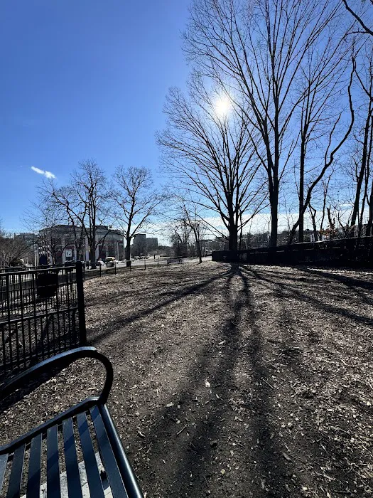Bridgeport Dog Park Picture 2