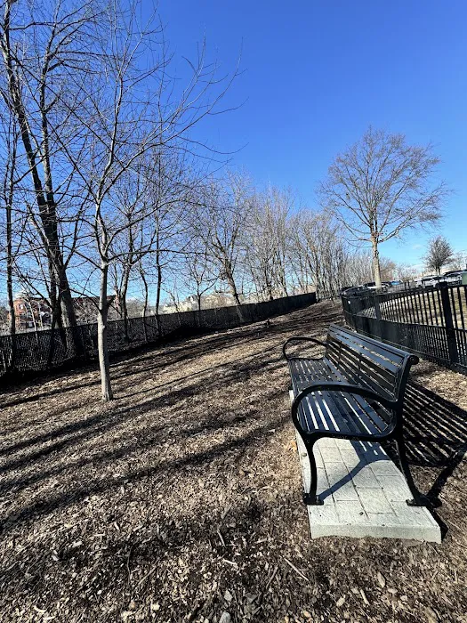 Bridgeport Dog Park Picture 1