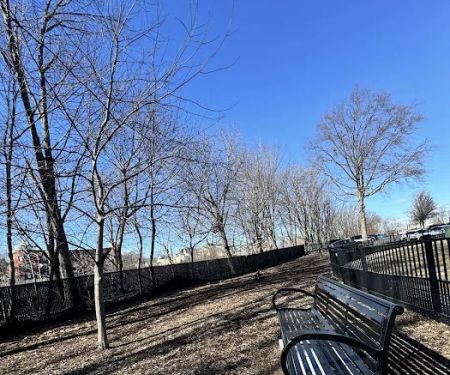 Bridgeport Dog Park