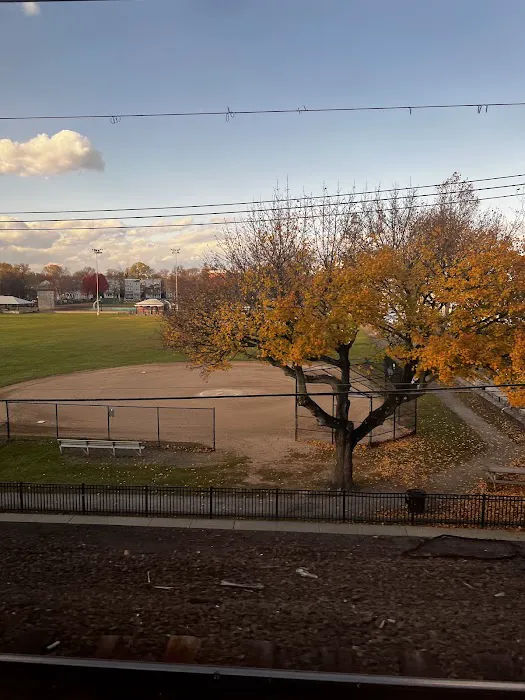 Went Field Picture 8