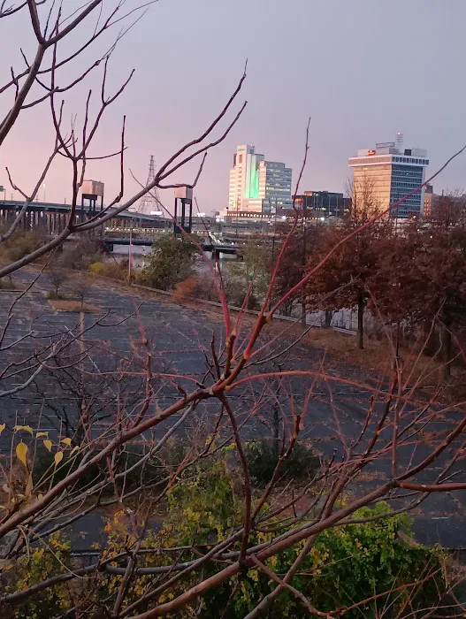 Riverfront Park Picture 4