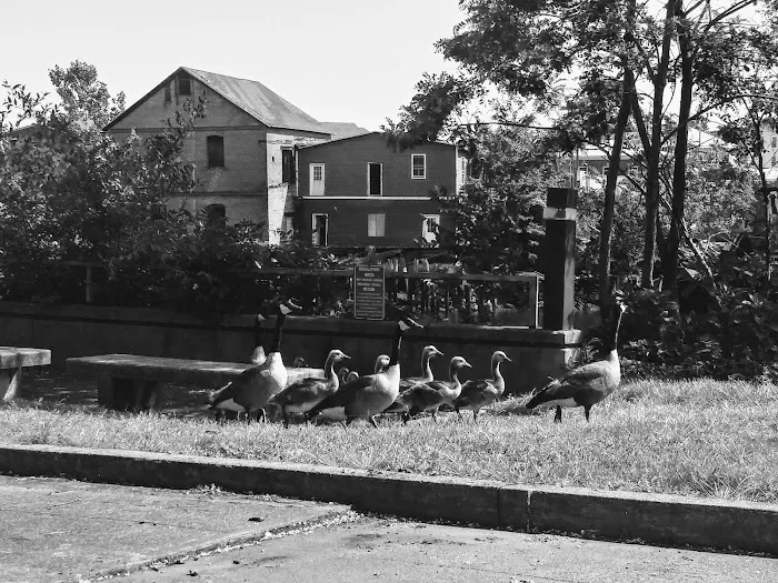 Riverfront Park Picture 8