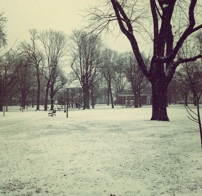 Washington Park Picture 9