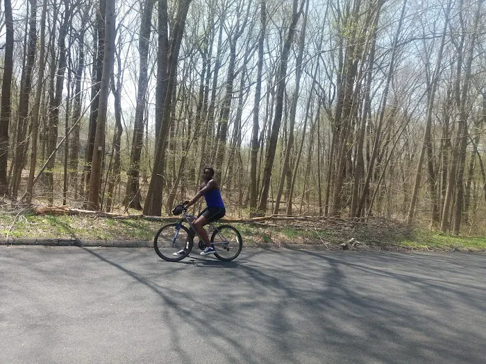 Capewell Park Picture 6