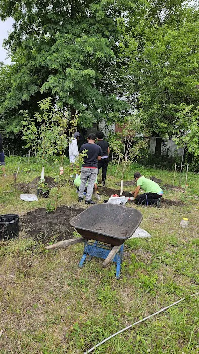 Community Garden of Joy Picture 4