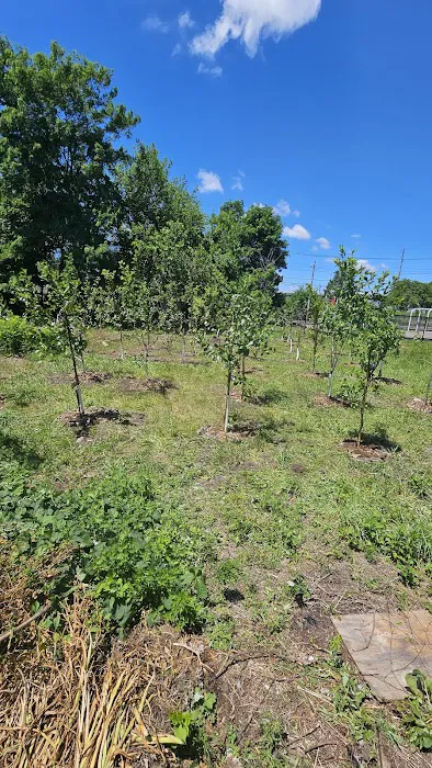 Community Garden of Joy Picture 10
