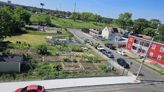 Community Garden of Joy Picture 8