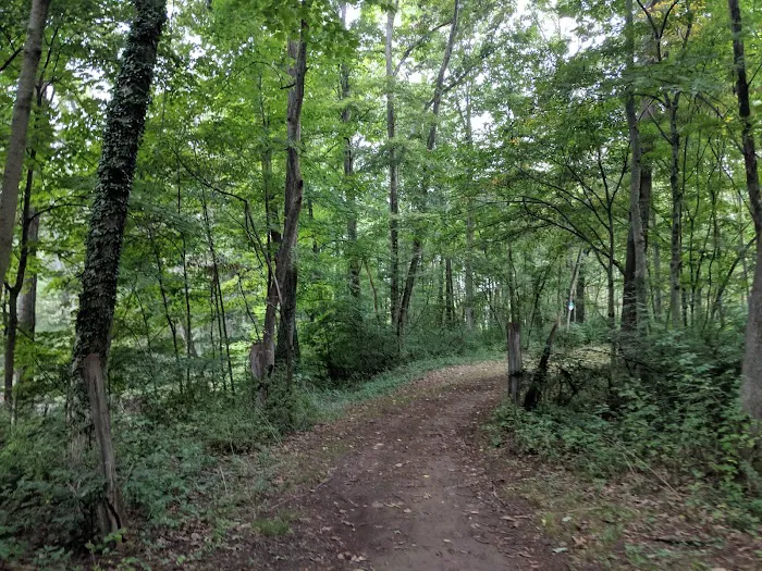 Still River Greenway Trail Picture 6