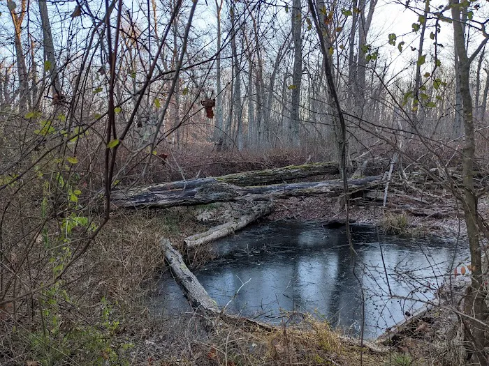 Still River Greenway Trail Picture 5