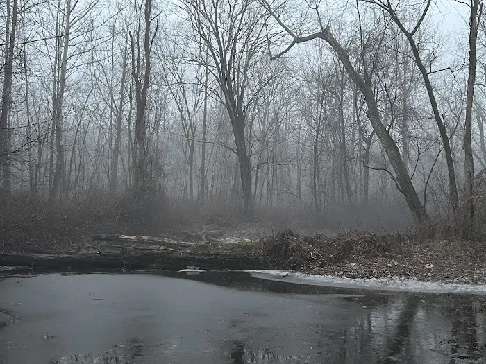 Pond Meadow / Still River Nature Preserve Picture 5