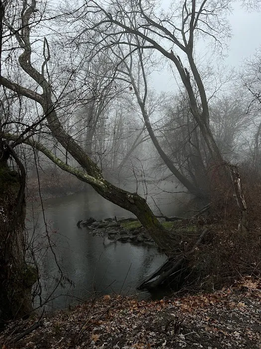 Pond Meadow / Still River Nature Preserve Picture 6