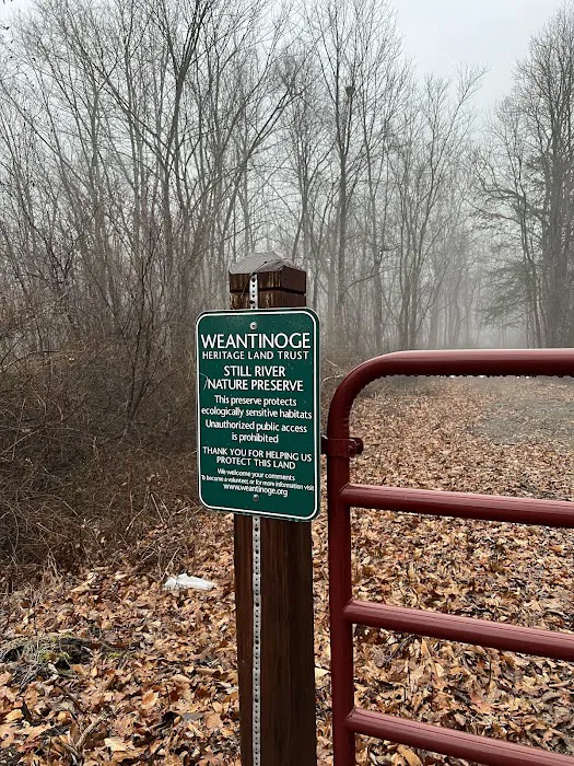Pond Meadow / Still River Nature Preserve Picture 2