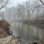 Pond Meadow / Still River Nature Preserve