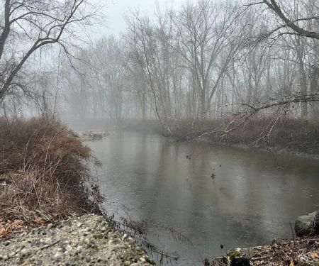 Pond Meadow / Still River Nature Preserve
