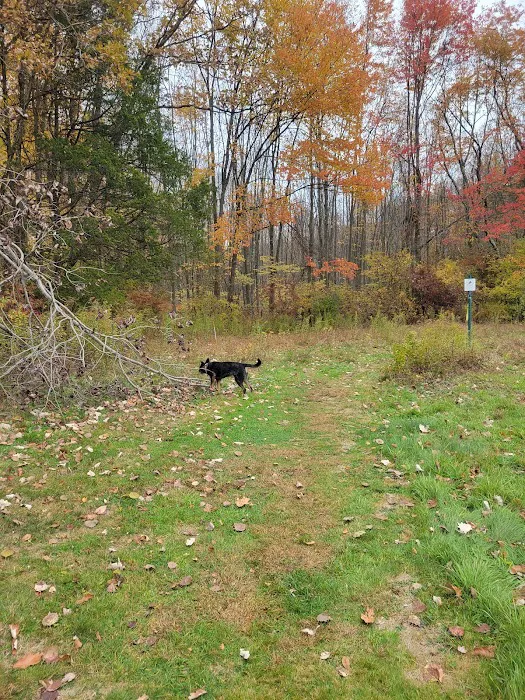 Eriksen Farm Open Space Picture 2