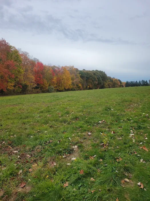 Eriksen Farm Open Space Picture 3