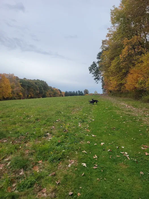 Eriksen Farm Open Space Picture 1