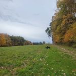 Eriksen Farm Open Space
