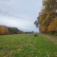 Eriksen Farm Open Space ico