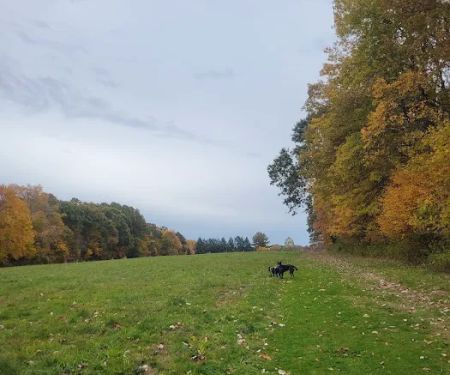 Eriksen Farm Open Space