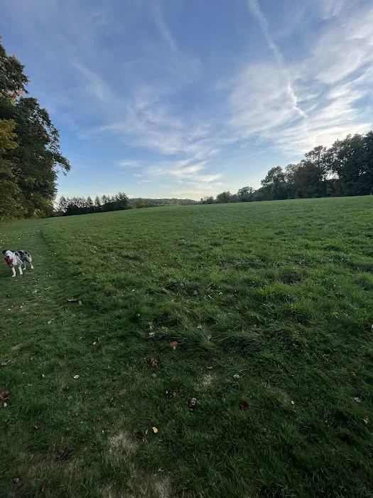 Eriksen Farm Open Space Picture 4