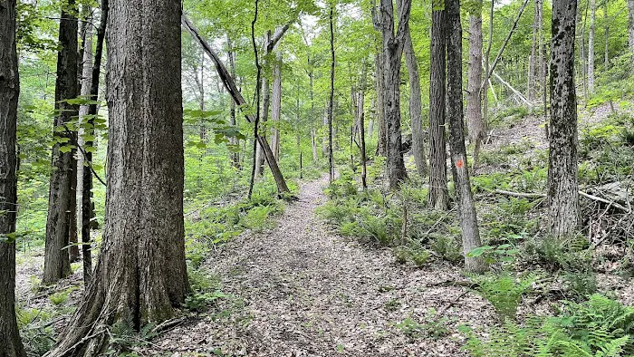 Pawling Natural Preserve Secondary Access Point Picture 1