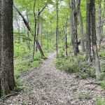 Pawling Natural Preserve Secondary Access Point