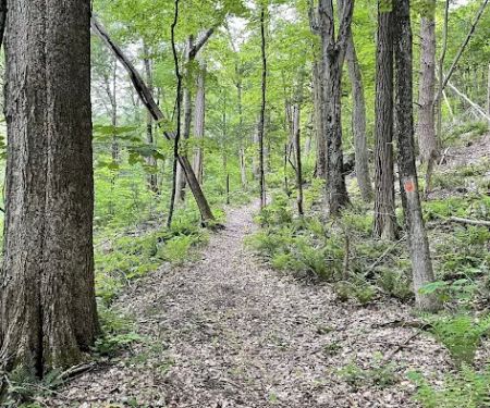Pawling Natural Preserve Secondary Access Point