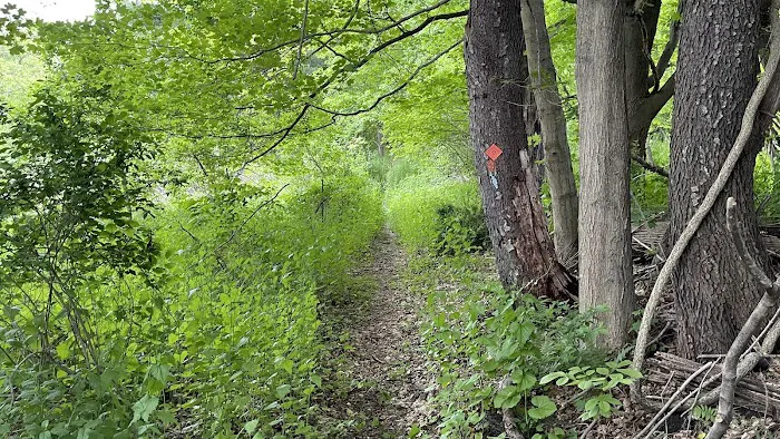 Pawling Natural Preserve Secondary Access Point Picture 4