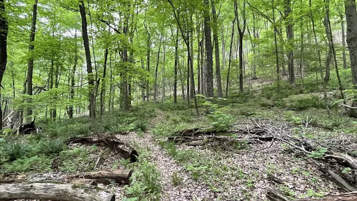 Pawling Natural Preserve Secondary Access Point Picture 2