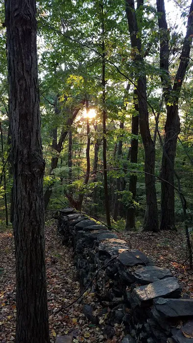 Appalachian Trail at Hammersley Ridge, NY Picture 9