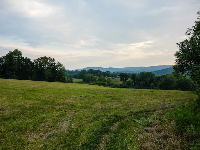 Appalachian Trail at Hammersley Ridge, NY Picture 5