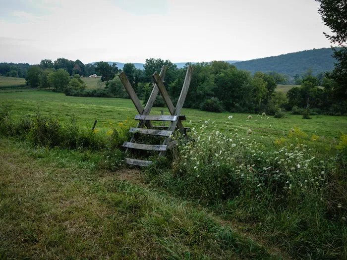 Appalachian Trail at Hammersley Ridge, NY Picture 4