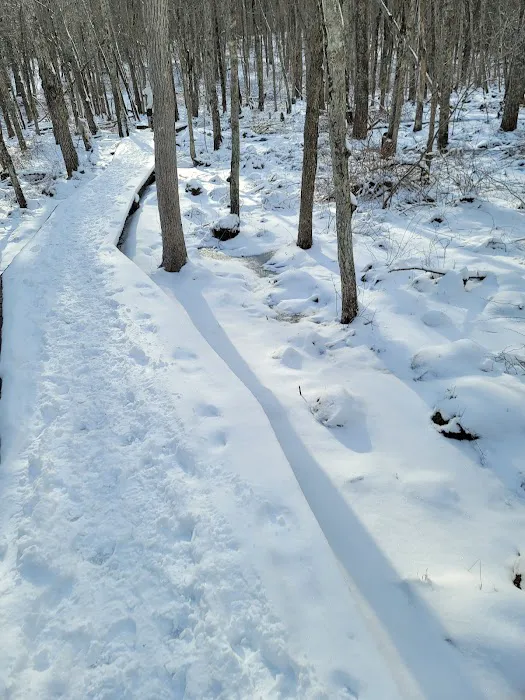 Mallory Preserve Picture 7