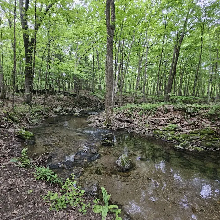 Mallory Preserve Picture 5