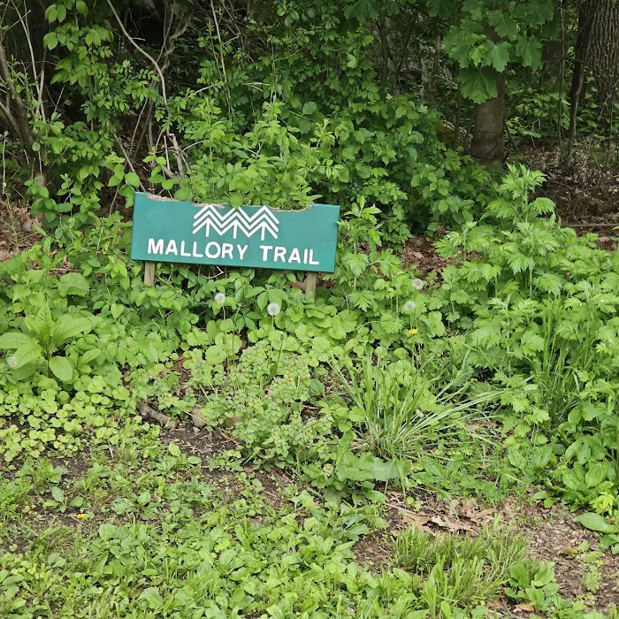 Mallory Preserve Picture 8