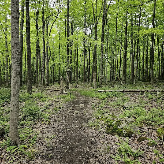 Mallory Preserve Picture 4