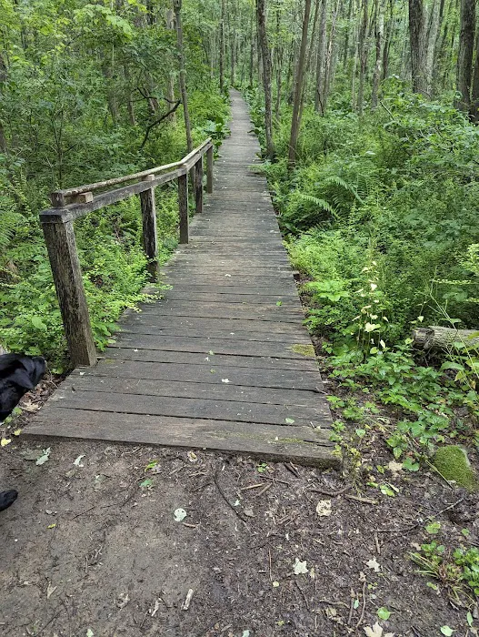 Mallory Preserve Picture 10