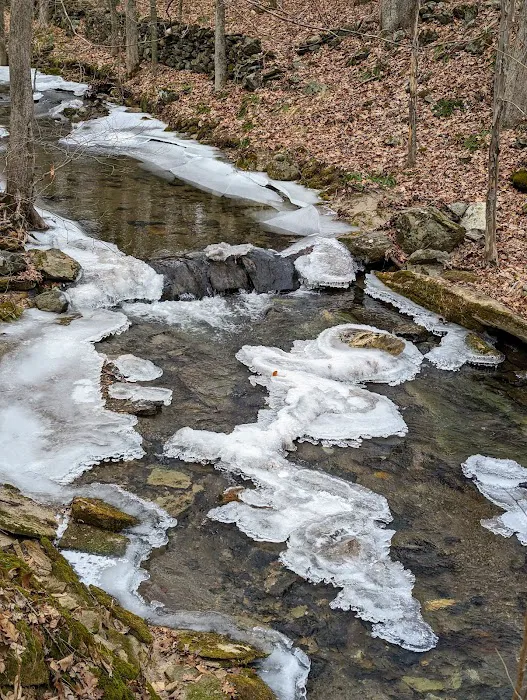 Mallory Preserve Picture 6