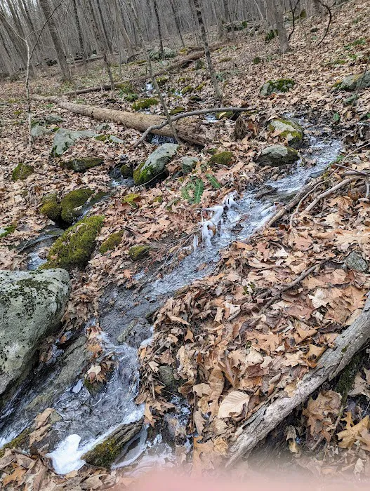 Mallory Preserve Picture 3